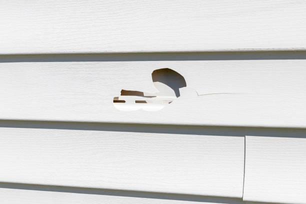 Trusted Bowmansville, PA Siding Experts